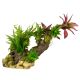 Underwater Treasures Sunken Bog Logs