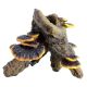 Underwater Treasures Roots with Mushroom