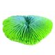 Underwater Treasures Plate Corals