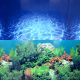 Underwater Treasures Aqua-Paradise/SeaGarden Reversible Backgrounds