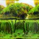 Underwater Treasures Rolling Hills/Mystic Forest Reversible Backgrounds