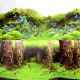 Underwater Treasures Rocky Mountain/Sunken Forest Reversible Backgrounds