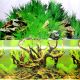 Underwater Treasures Grassy Tree/Grassy Boulder Reversible Backgrounds