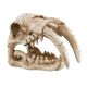 Underwater Treasures Sabertooth Skull