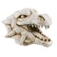 Underwater Treasures Dragon Skull