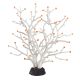Underwater Treasures Gorgonian - White