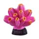 Underwater Treasures Barnacle - Pink/Yellow