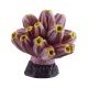 Underwater Treasures Barnacle - Purple/Yellow