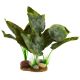 Underwater Treasures Marble Pothos