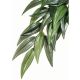 Exo Terra Hanging Silk Ruscus Plants
