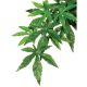 Exo Terra Hanging Silk Abutilon Plants
