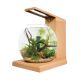 Fluval LIV Microscaping Aquarium Kit - Teak