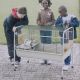 Marchioro Susan Small Animal Cage Sets