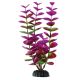 Underwater Treasures Plum Bacopas