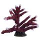 Underwater Treasures Staghorns