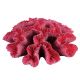 Underwater Treasures Pacific Rose Corals