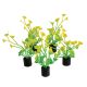 Underwater Treasures Mini Plant - Yellow and Green - 2