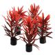 Underwater Treasures Mini Plant - Red and Brown - 3