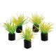 Underwater Treasures Mini Plant - Spring Grass - 1.25