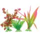 Underwater Treasures Variety of Plants