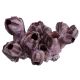 Underwater Treasures Barnacles