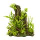 Underwater Treasures Plant Landscape