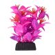 Underwater Treasures Ludwigia - Pink - 3