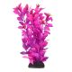 Underwater Treasures Ludwigia - Pink - 8