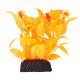 Underwater Treasures Ludwigia - Orange - 3