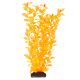 Underwater Treasures Ludwigia - Orange - 12