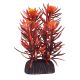 Underwater Treasures Rotala Indica - 3
