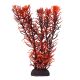 Underwater Treasures Rotala Indica - 8