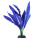 Underwater Treasures Crypt Undulata - Blue