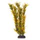 Underwater Treasures Mayaca - Orange