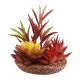Underwater Treasures Succulant - Flames