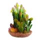 Underwater Treasures Cactus Mix