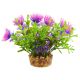 Underwater Treasures Bacomba - Purple - 4