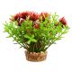 Underwater Treasures Bacomba - Red - 4