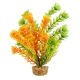 Underwater Treasures Cabomba - Orange - 6