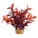 Underwater Treasures Ludwiga - Cherry - 6