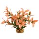 Underwater Treasures Ludwiga - Peach Tip - 6