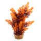 Underwater Treasures Hygro Tree - Sunset - 8