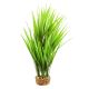 Underwater Treasures Amazon Grass - Green - 10