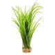 Underwater Treasures Japonica - Green - 12