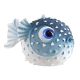 Underwater Treasures Blue Puffer