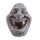 Underwater Treasures Stone Toothless Face