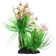 Underwater Treasures Plant Palm - Flowering