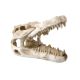 Reptile Treasures Dino Skull Shelter - 6in