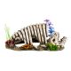 Reptile Treasures Dino Bones Shelter - 10in