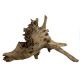 Underwater Treasures Eucalyptus Root - Large